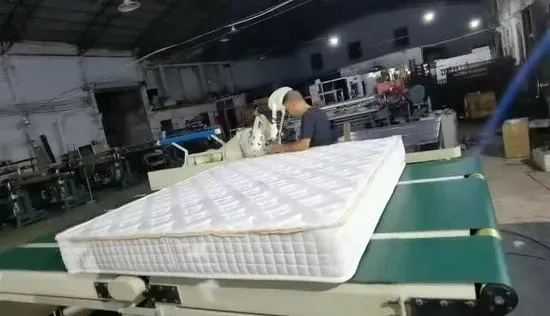 効率的で高い生産性の全自動自動